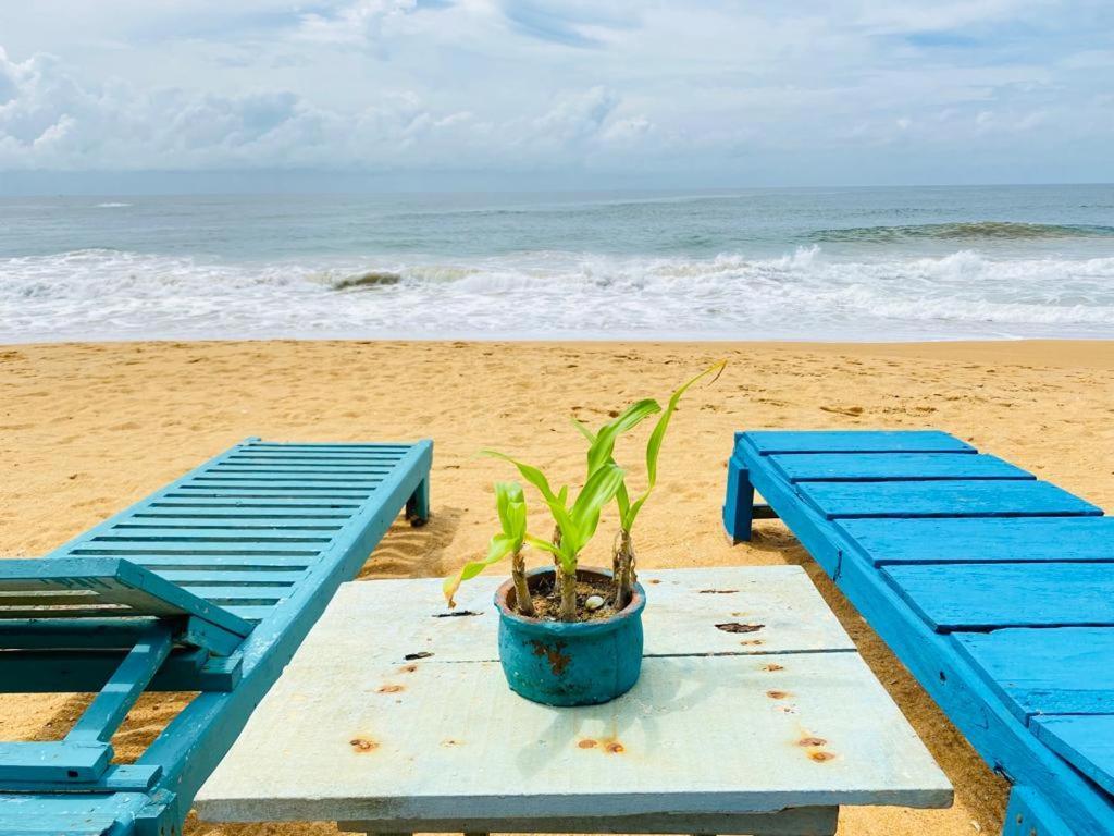 Ramya Ru Beach Home Гале Екстериор снимка